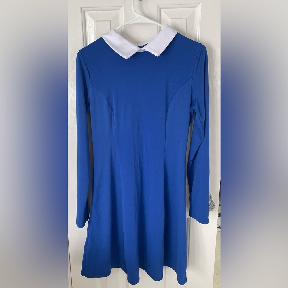 Blue and White Peter Pan Collar Dress